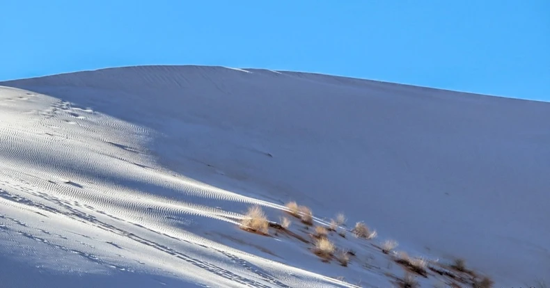 Tuyết rơi hiếm hoi ở sa mạc Sahara -0