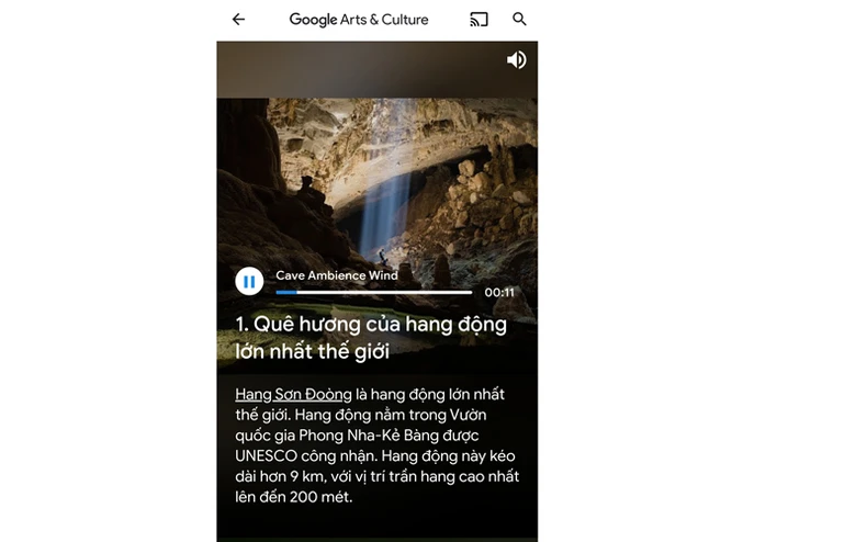 Google Art & Culture tôn vinh Kỳ quan Việt Nam -0