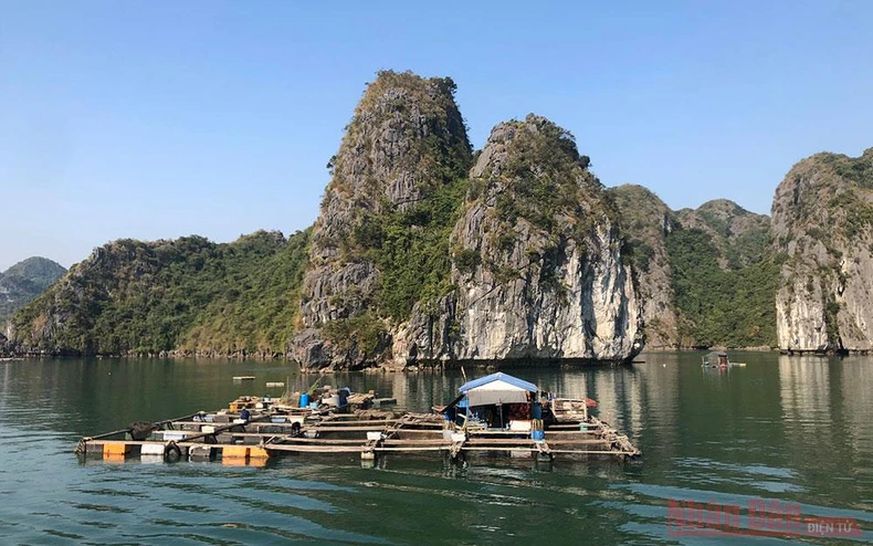 Gửi Hồ sơ đề cử