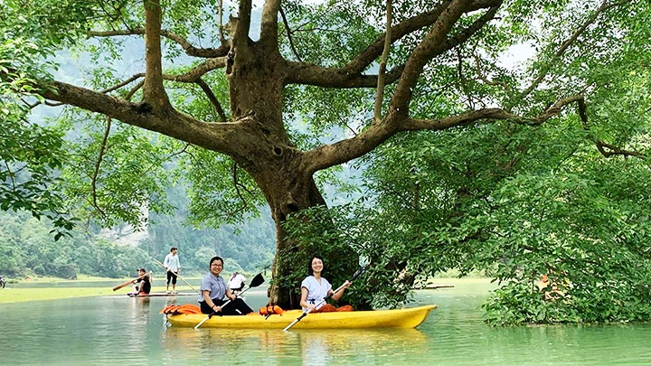 Lạc bước ở Đồng Lâm -0