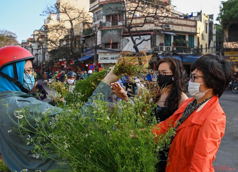 5_pho_co_Ha_NOi-1613017328367.jpg
