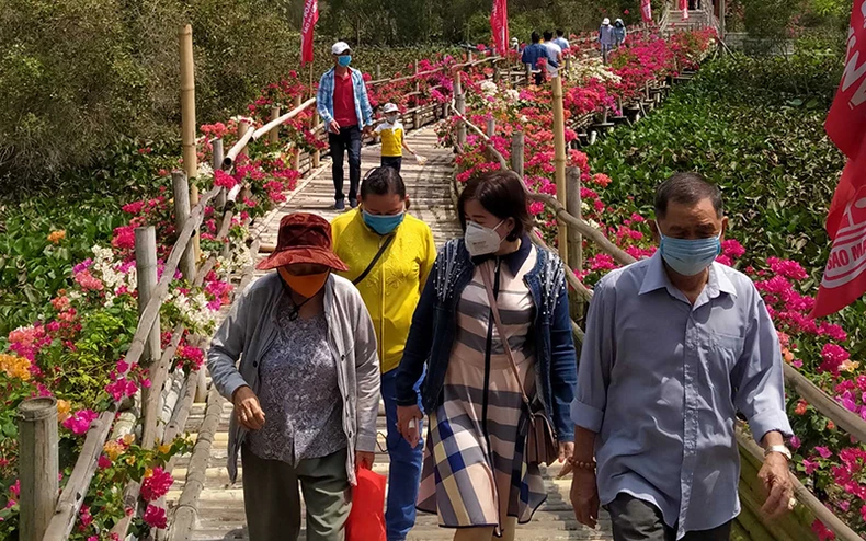Khách du xuân rừng tràm Trà Sư, check-in cầu tre dài nhất Việt Nam -0