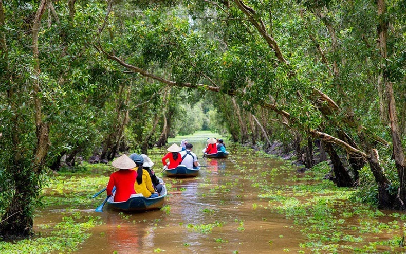 Khách du xuân rừng tràm Trà Sư, check-in cầu tre dài nhất Việt Nam -0