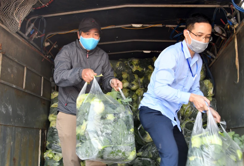 Người dân Hà Nội chung tay tiêu thụ nông sản Hải Dương -0