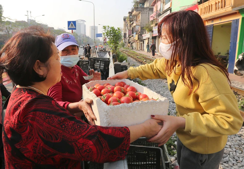 Người dân Hà Nội chung tay tiêu thụ nông sản Hải Dương -0