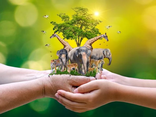 Ngày Động, thực vật hoang dã thế giới năm 2021: Bảo vệ rừng và sinh kế -0