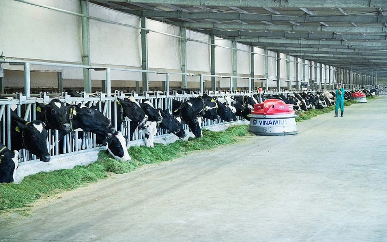 Vinamilk nỗ lực nhân rộng mô hình trang trại sinh thái -0