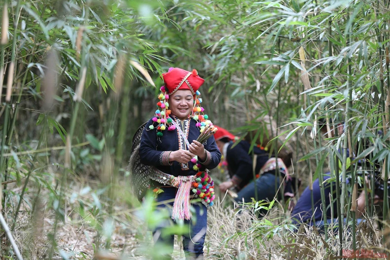 12_mang_sat_Hoang_Lien_Son-1618220200231.jpg