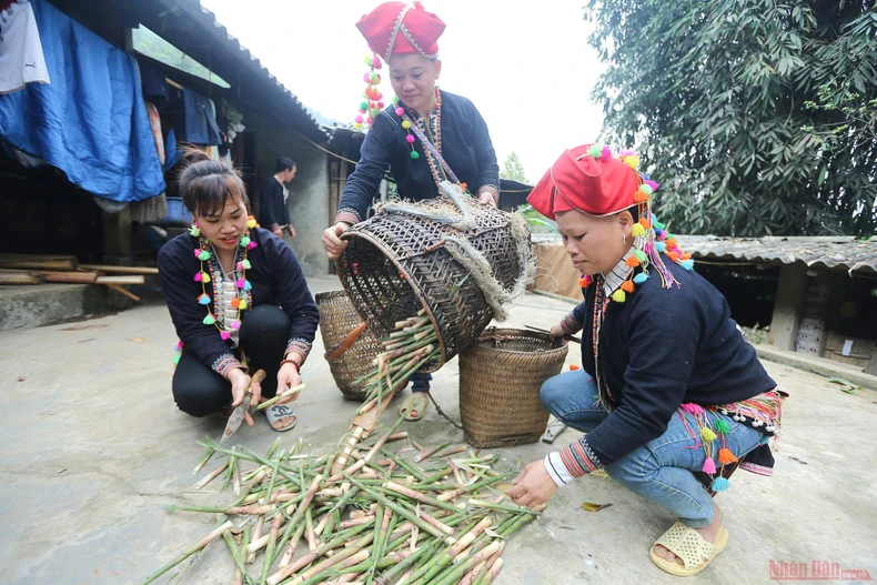 13_mang_sat_Hoang_Lien_Son-1618220198663.jpg