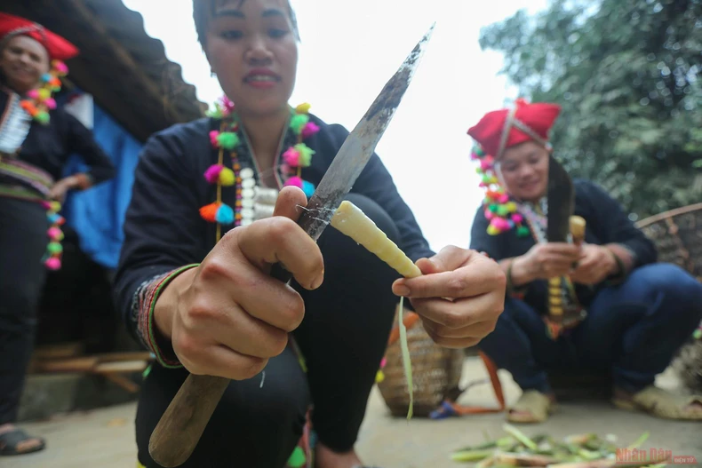 15_mang_sat_Hoang_Lien_Son-1618220199108.jpg