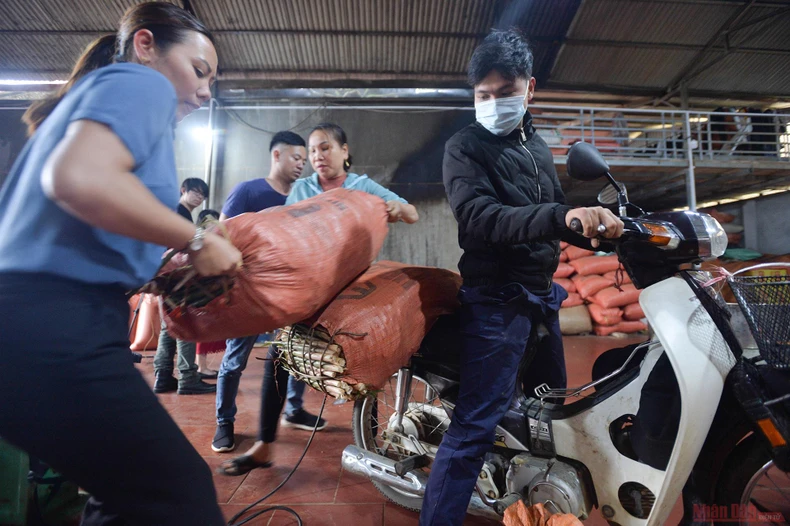 16_mang_sat_Hoang_Lien_Son-1618220199323.jpg