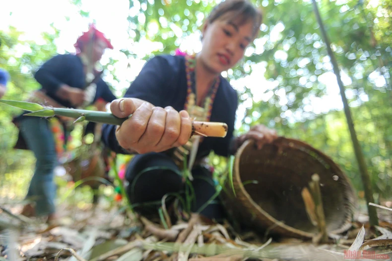 6_mang_sat_Hoang_Lien_Son-1618220183726.jpg