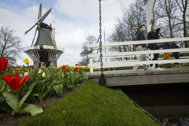 Hà Lan chào đón du khách vườn hoa nổi tiếng Keukenhof -2