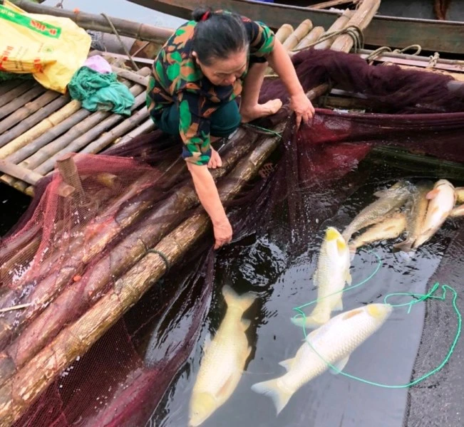 Bảo vệ môi trường, chất lượng nước sông Mã -0