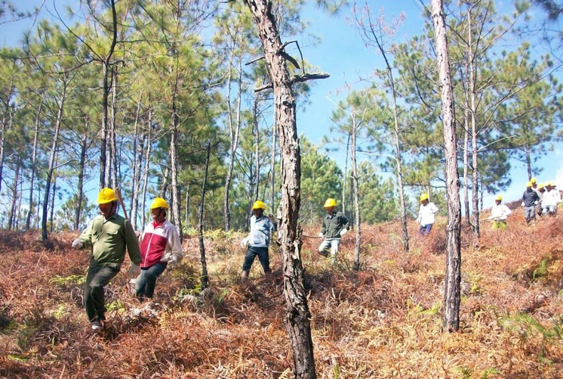 USAID tài trợ hơn 31 triệu USD triển khai dự án về thích ứng biến đổi khí hậu tại Việt Nam -0