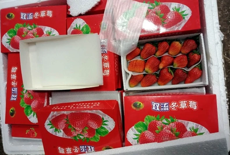Phát hiện lô hàng dâu tây nhập lậu qua đường hàng không -0