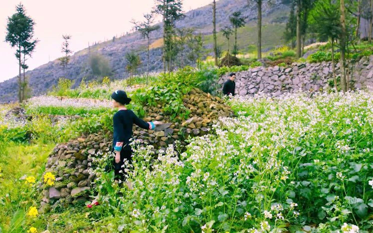 Ca sĩ Vũ Thắng Lợi quảng bá du lịch Hà Giang qua MV mới -0