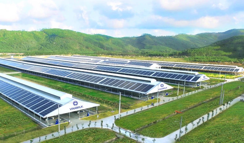 Đại hội cổ đông Vinamilk 2021: Luôn kiếm tìm cơ hội đầu tư trong và ngoài nước -0