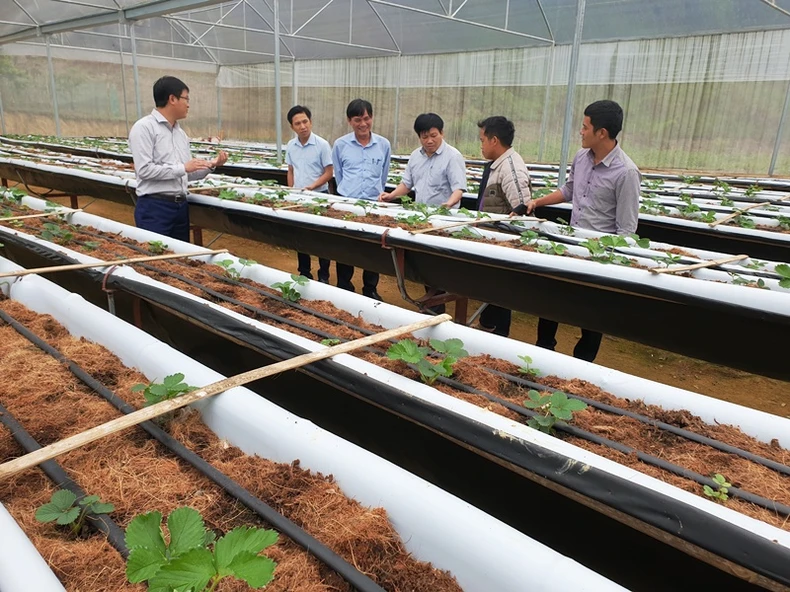 Tôi luyện đội ngũ cán bộ qua luân chuyển, điều động ở huyện Kỳ Sơn -0