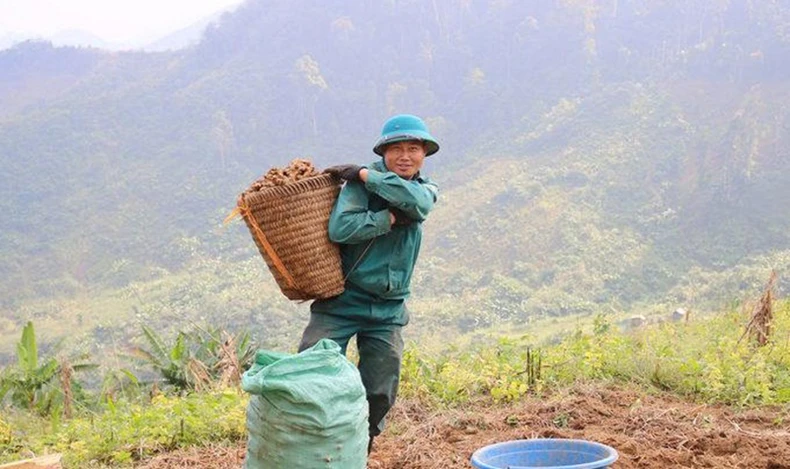 Sớm đầu tư nâng cấp, mở tuyến đường Tây Sơn – Na Ngoi -0