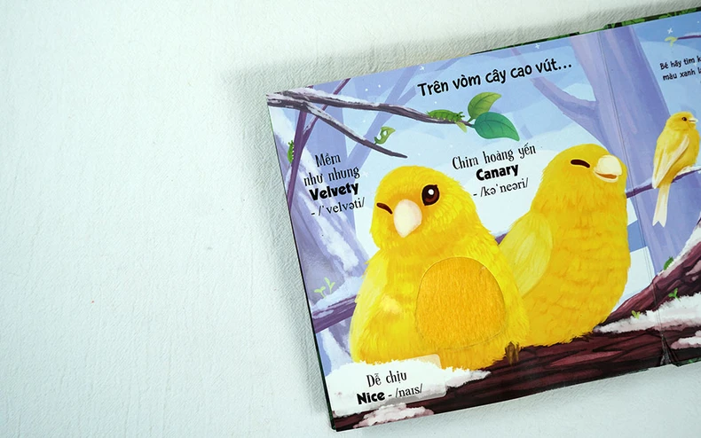 Bé đọc sách bằng… tay -0