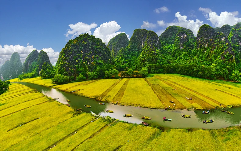 Ngẩn ngơ “Mùa vàng Tam Cốc- Bích Động” -0