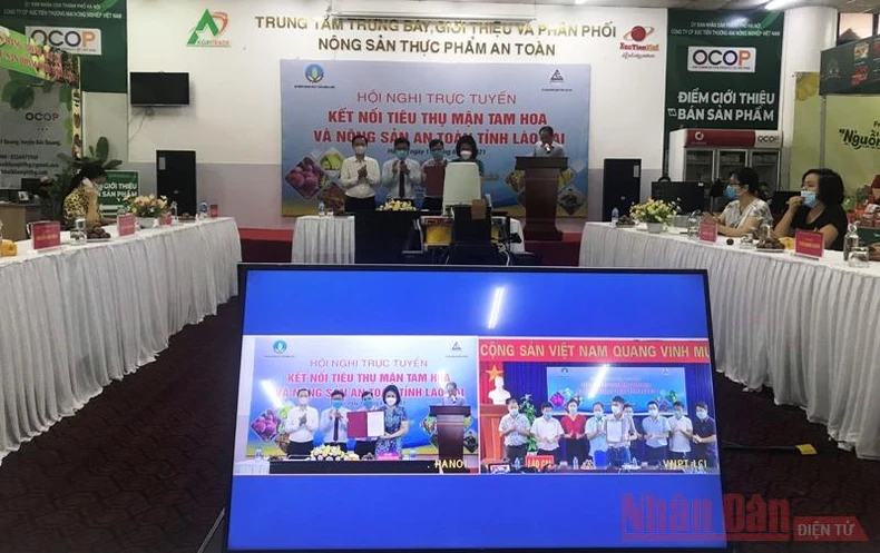 Dịch bệnh phức tạp mận tam hoa Bắc Hà vẫn đến được với người tiêu dùng Thủ đô -0