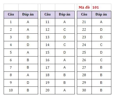Gợi ý đáp án các mã đề môn Ngoại ngữ thi vào lớp 10 Hà Nội -0