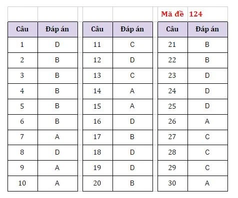 Gợi ý đáp án các mã đề môn Ngoại ngữ thi vào lớp 10 Hà Nội -4