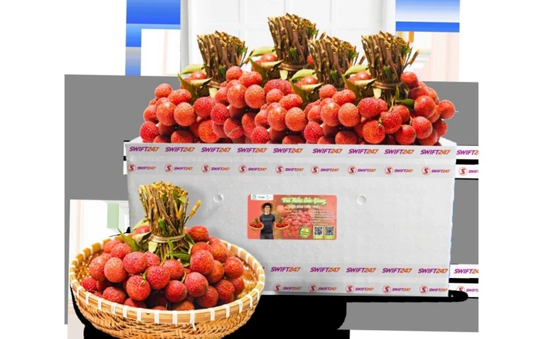Vietjet Air đưa vải thiều Bắc Giang xuất ngoại -0