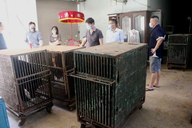 Bốn cá thể gấu cuối cùng tại Rạp xiếc Trung ương không còn phải biểu diễn xiếc -0