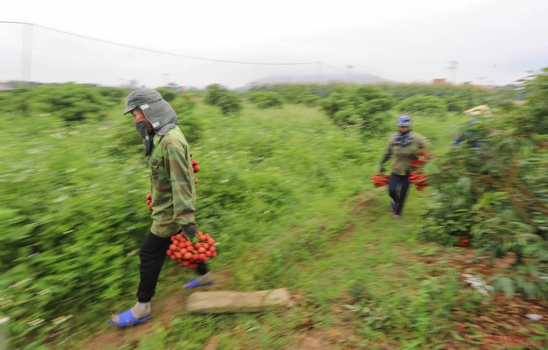 12_vai_thieu_bac_giang-1623834763275.jpeg