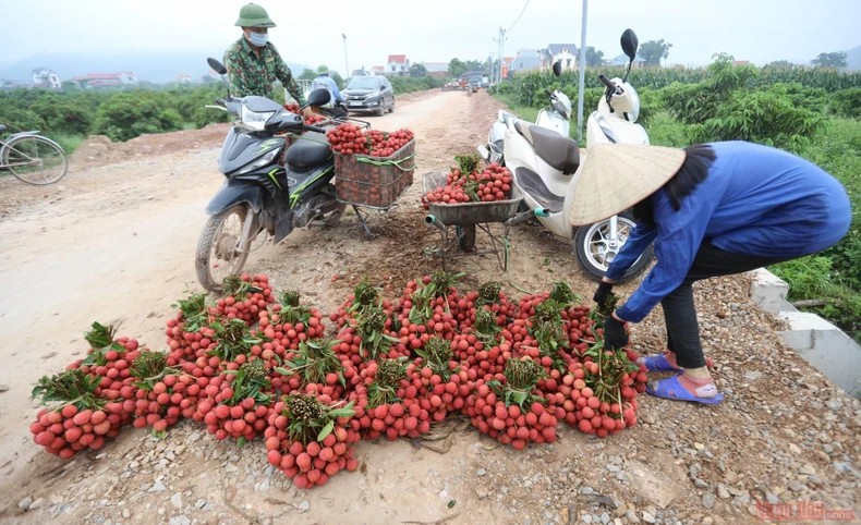 13_vai_thieu_bac_giang-1623834760726.jpeg