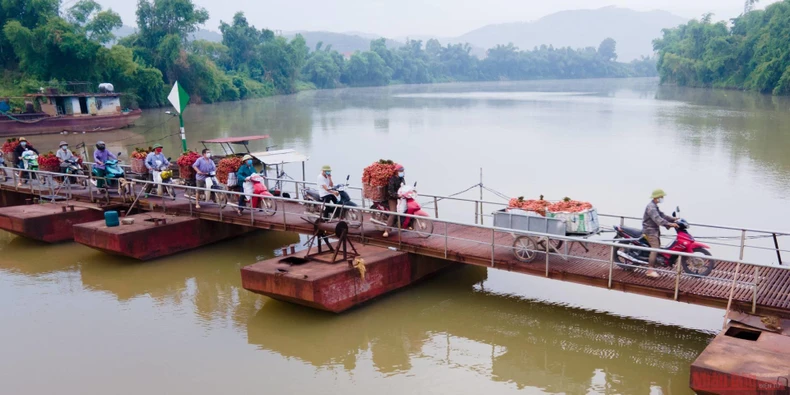 17_vai_thieu_bac_giang-1623834761938.jpeg
