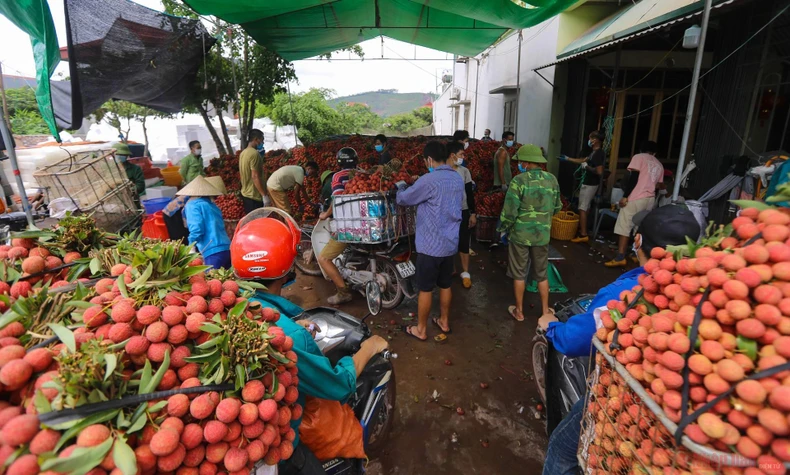 24_vai_thieu_bac_giang-1623834782010.jpeg