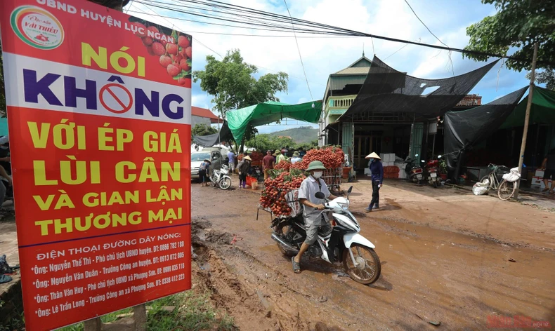 26_vai_thieu_bac_giang-1623834783592.jpeg