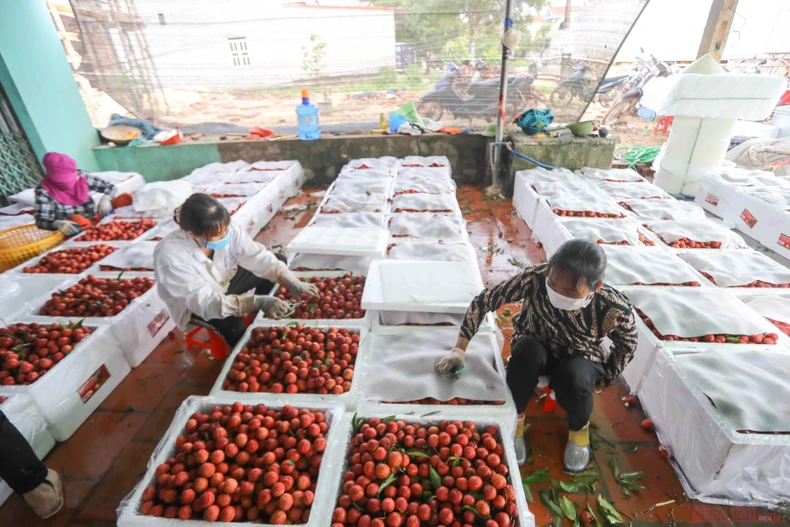 28_vai_thieu_bac_giang-1623834785637.jpeg