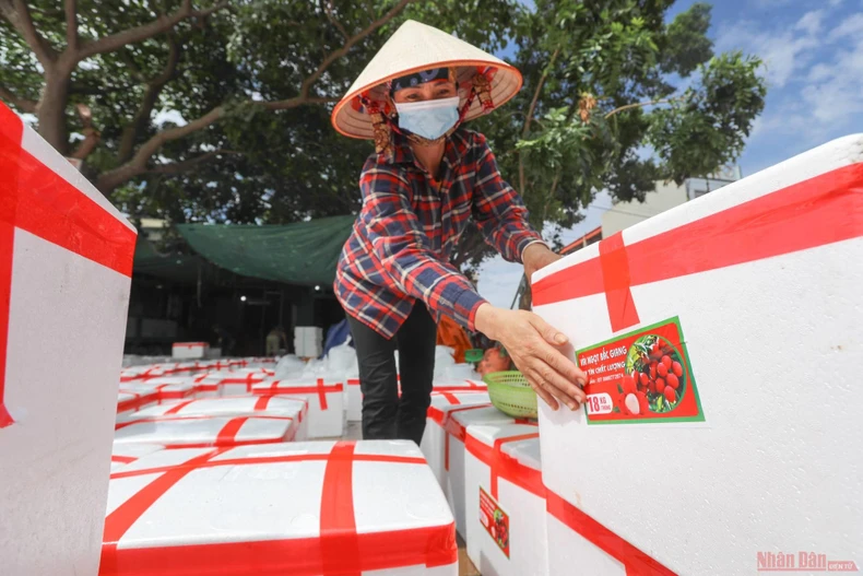 29_vai_thieu_bac_giang-1623834786187.jpeg