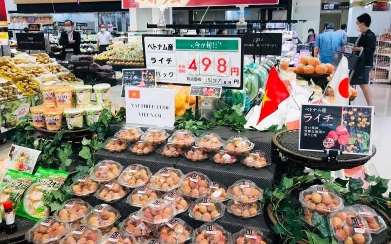 Ấn tượng mạnh, vải thiều thêm kênh nhập khẩu lớn vào Nhật Bản -0