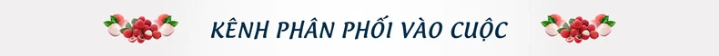 Kỳ tích vải thiều giữa đại dịch Covid-19 -0