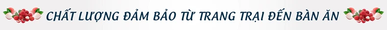 Kỳ tích vải thiều giữa đại dịch Covid-19 -0