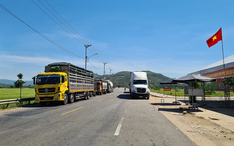 Bình Định phạt nặng người tung tin sai sự thật về dịch Covid-19 -0