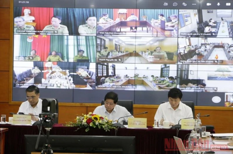 Bức tranh ngành lâm nghiệp tươi sáng trong nửa đầu năm -0