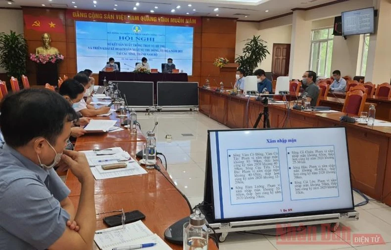 Tập trung bám sát đồng ruộng và thu hoạch dứt điểm vụ Hè thu -0