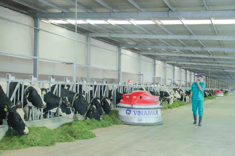 Đại dịch Covid-19 đang định hình rõ hơn xu hướng đầu tư ESG -0
