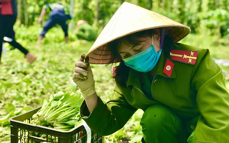 Triệu triệu trái tim chung nhịp đập -0