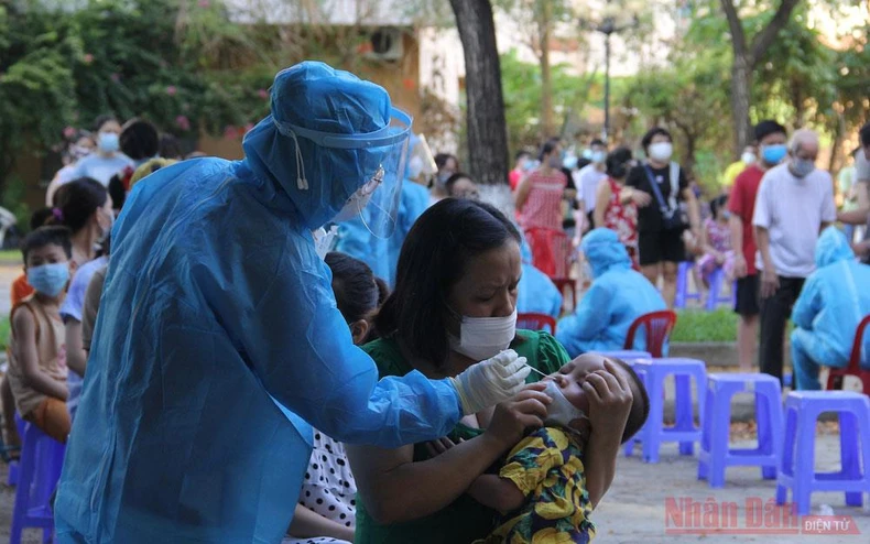 Đà Nẵng phun khử khuẩn toàn bộ điểm nóng Cảng cá Thọ Quang -0