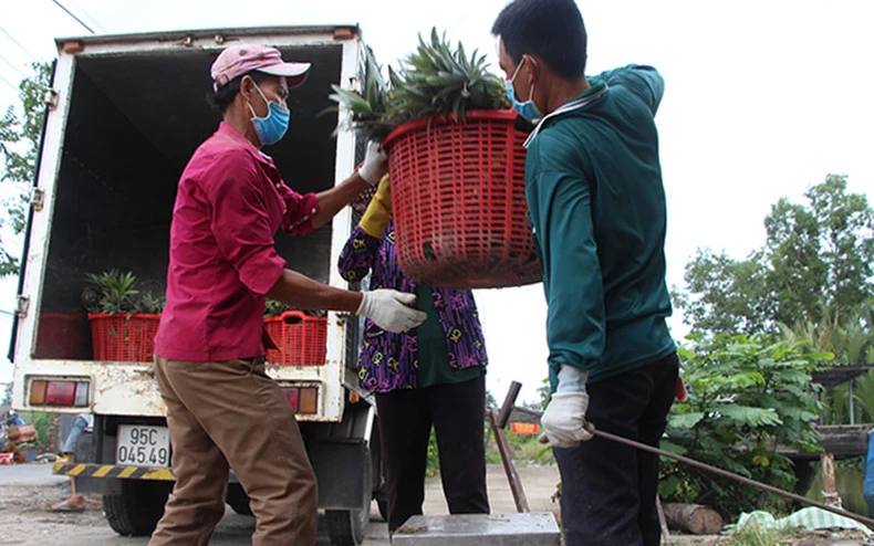 Hậu Giang: Thiết lập “vùng xanh”, hình thành hậu phương chống dịch -0