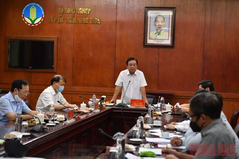 Cần sớm có giải pháp gỡ “nút thắt” cho lúa gạo -0