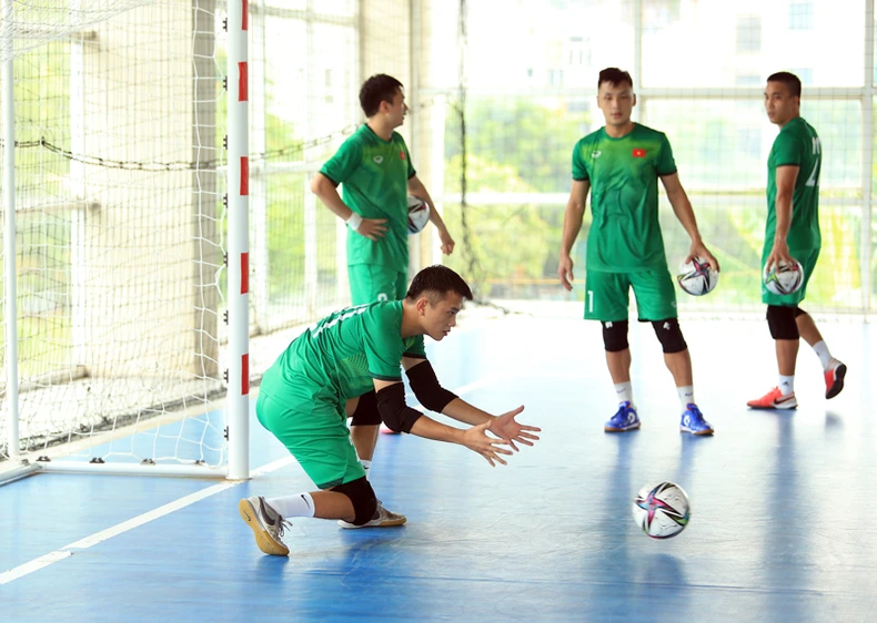 ĐT futsal Việt Nam bước vào giai đoạn